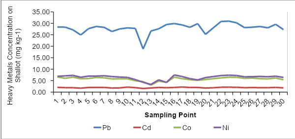 The Heavy Metal Concentration at Each Sampling Point of Shallots