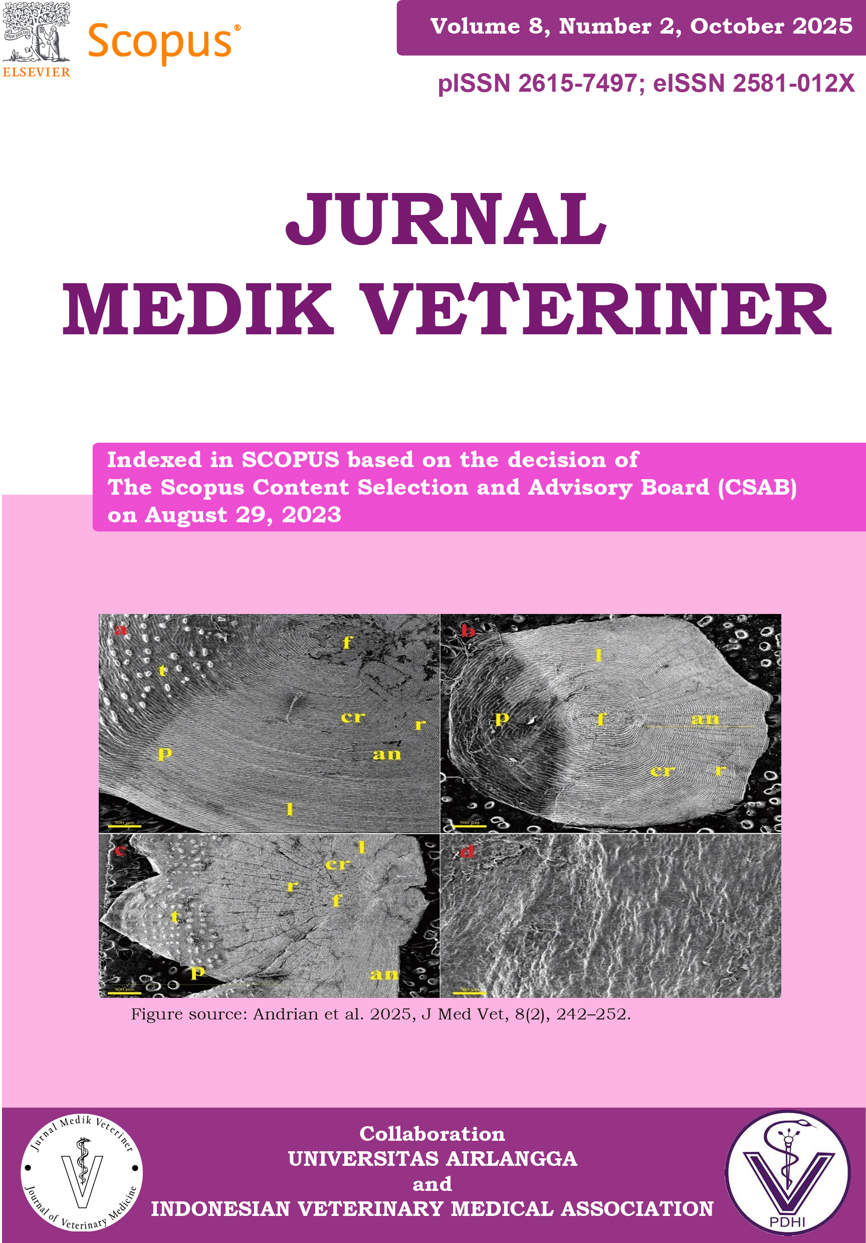       View Vol. 8 No. 2 (2025): October     