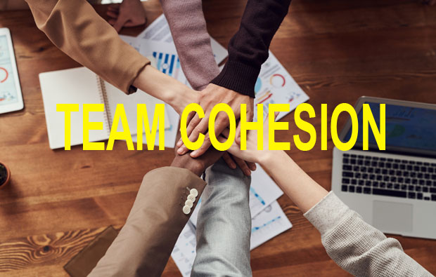 teamcohesion